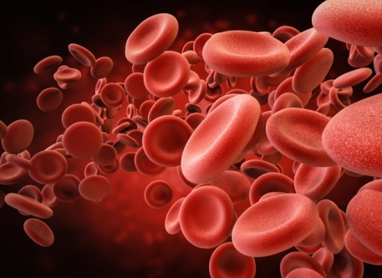 Animated blood platelets