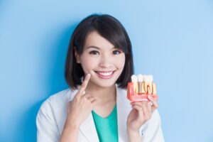 Dentist holding model of dental implant. 